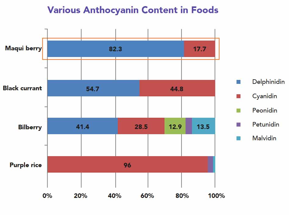 i-vxion Various Anthocyanin Content in Foods